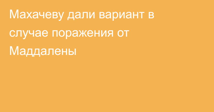 Махачеву дали вариант в случае поражения от Маддалены
