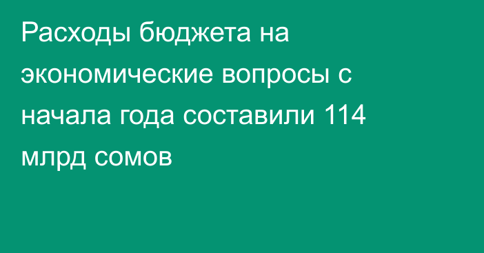 Расходы бюджета на экономические вопросы с начала года составили 114 млрд сомов