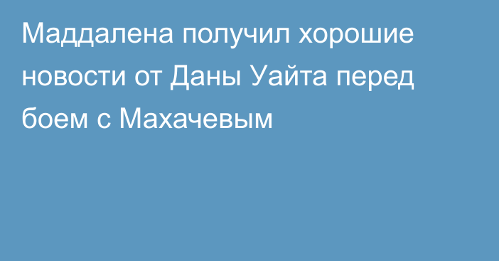 Маддалена получил хорошие новости от Даны Уайта перед боем с Махачевым
