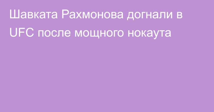 Шавката Рахмонова догнали в UFC после мощного нокаута