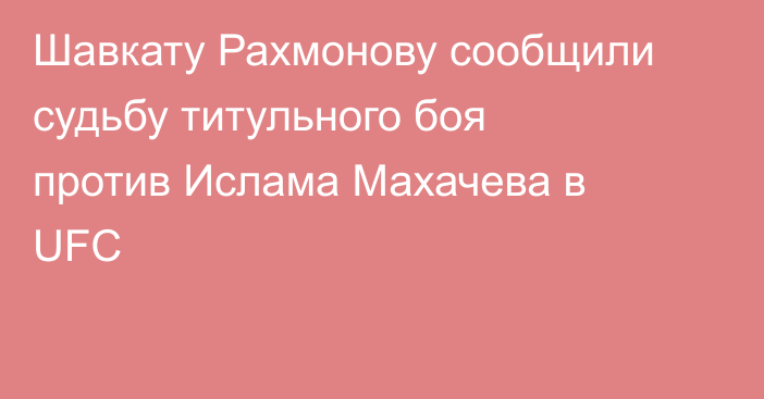 Шавкату Рахмонову сообщили судьбу титульного боя против Ислама Махачева в UFC