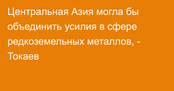 Центральная Азия могла бы объединить усилия в сфере редкоземельных металлов, - Токаев