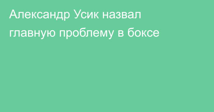 Александр Усик назвал главную проблему в боксе