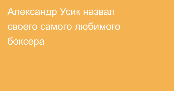 Александр Усик назвал своего самого любимого боксера