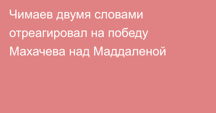 Чимаев двумя словами отреагировал на победу Махачева над Маддаленой