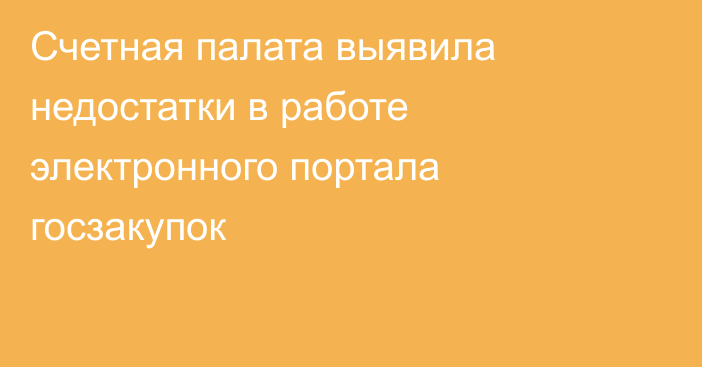 Счетная палата выявила недостатки в работе электронного портала госзакупок
