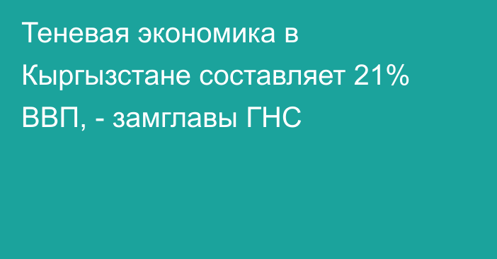 Теневая экономика в Кыргызстане составляет 21% ВВП, - замглавы ГНС