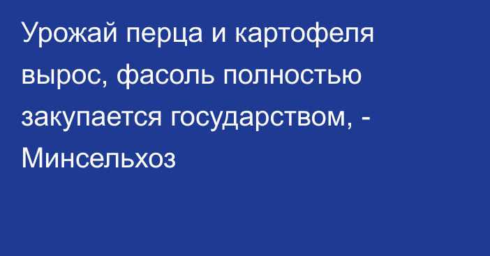 Урожай перца и картофеля вырос, фасоль полностью закупается государством, - Минсельхоз