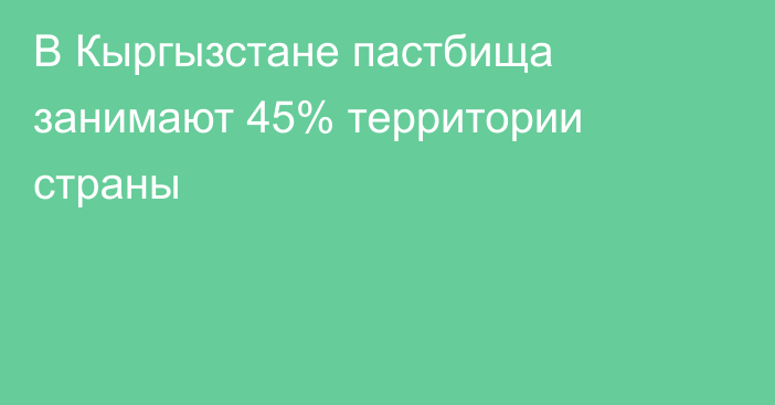 В Кыргызстане пастбища занимают 45% территории страны