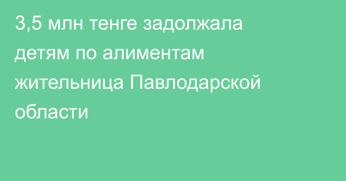 3,5 млн тенге задолжала детям по алиментам жительница Павлодарской области