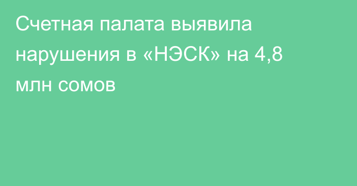 Счетная палата выявила нарушения в «НЭСК» на 4,8 млн сомов