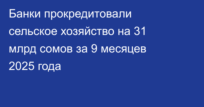 Банки прокредитовали сельское хозяйство на 31 млрд сомов за 9 месяцев 2025 года