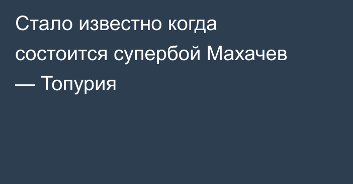 Стало известно когда состоится супербой Махачев — Топурия