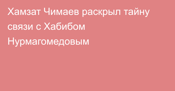 Хамзат Чимаев раскрыл тайну связи с Хабибом Нурмагомедовым