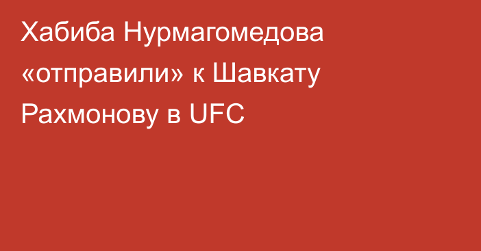 Хабиба Нурмагомедова «отправили» к Шавкату Рахмонову в UFC