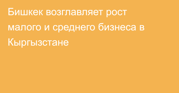 Бишкек возглавляет рост малого и среднего бизнеса в Кыргызстане
