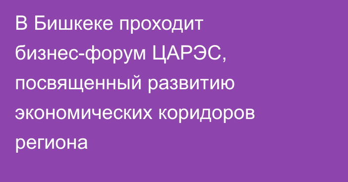 В Бишкеке проходит бизнес-форум ЦАРЭС, посвященный развитию экономических коридоров региона
