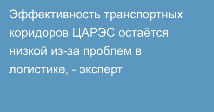 Эффективность транспортных коридоров ЦАРЭС остаётся низкой из-за проблем в логистике, - эксперт