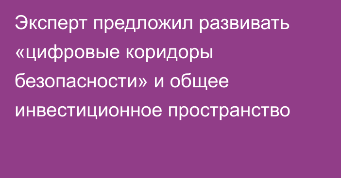 Эксперт предложил развивать «цифровые коридоры безопасности» и общее инвестиционное пространство