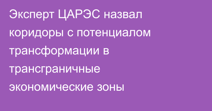 Эксперт ЦАРЭС назвал коридоры с потенциалом трансформации в трансграничные экономические зоны