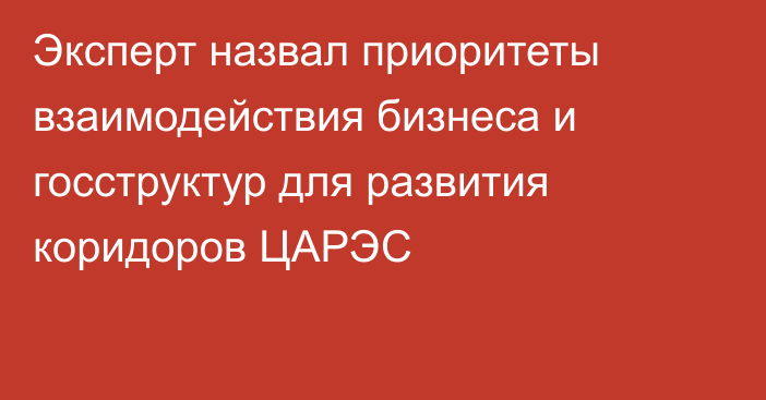Эксперт назвал приоритеты взаимодействия бизнеса и госструктур для развития коридоров ЦАРЭС