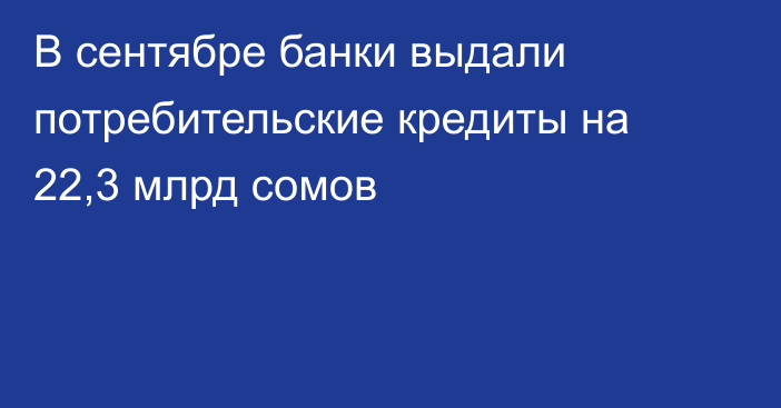 В сентябре банки выдали потребительские кредиты на 22,3 млрд сомов