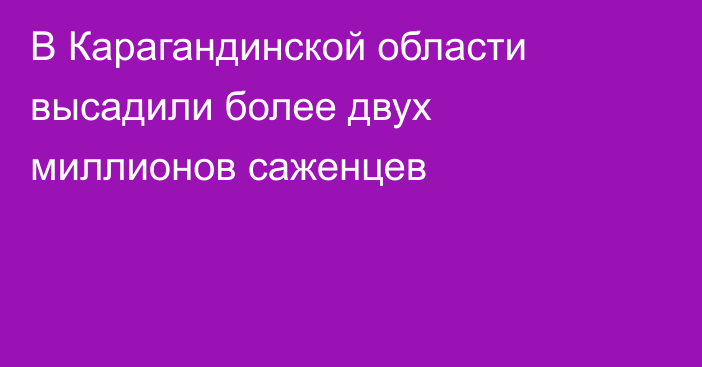 В Карагандинской области высадили более двух миллионов саженцев