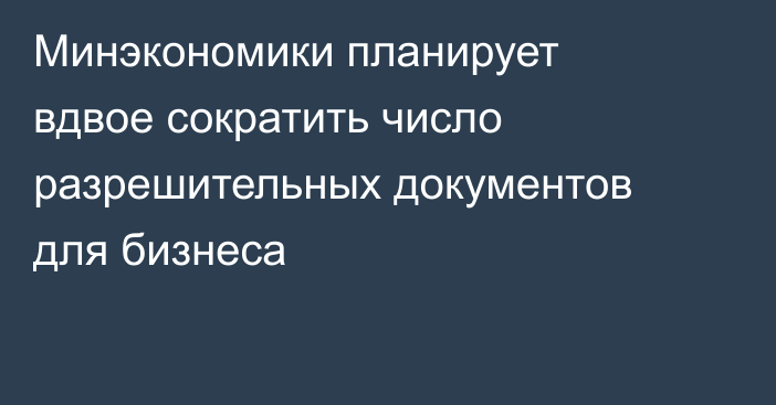 Минэкономики планирует вдвое сократить число разрешительных документов для бизнеса