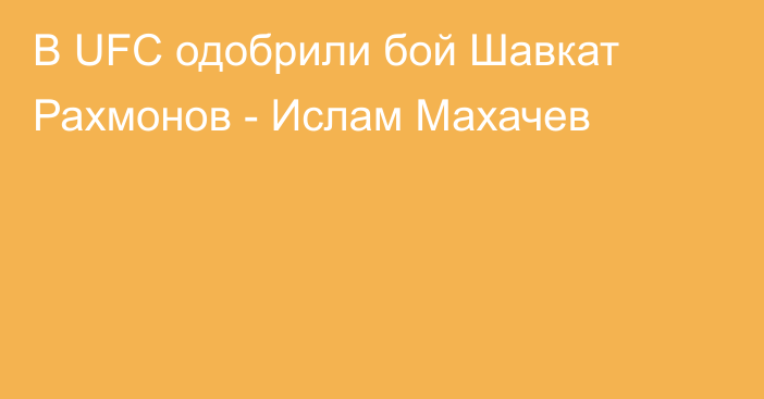 В UFC одобрили бой Шавкат Рахмонов - Ислам Махачев