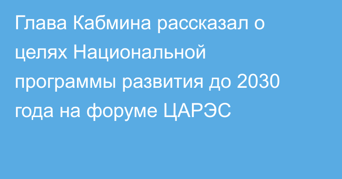 Глава Кабмина рассказал о целях Национальной программы развития до 2030 года на форуме ЦАРЭС