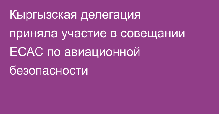 Кыргызская делегация приняла участие в совещании ЕСАС по авиационной безопасности