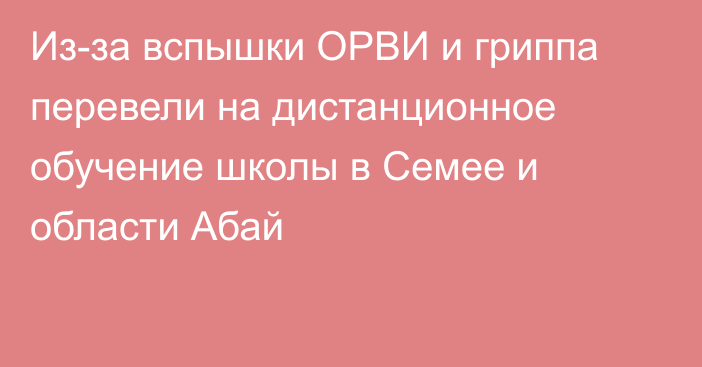 Из-за вспышки ОРВИ и гриппа перевели на дистанционное обучение школы в Семее и области Абай
