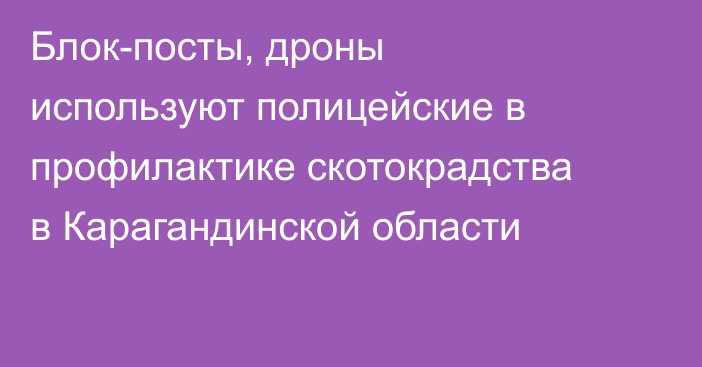 Блок-посты, дроны используют полицейские в профилактике скотокрадства в Карагандинской области