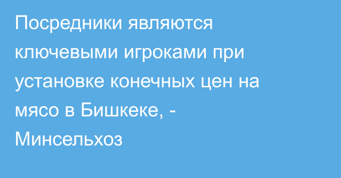 Посредники являются ключевыми игроками при установке конечных цен на мясо в Бишкеке, - Минсельхоз