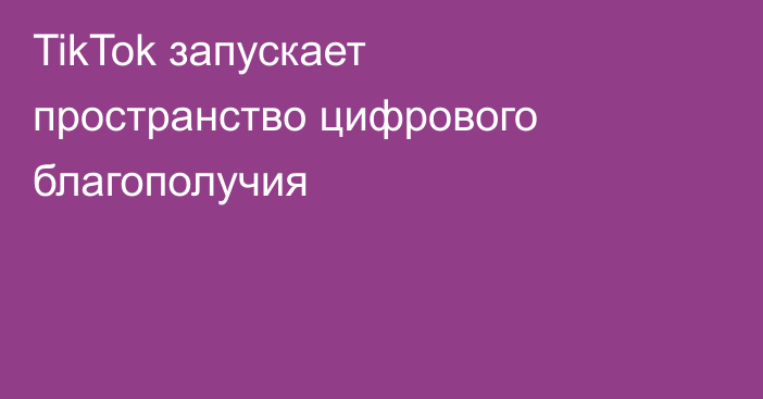 TikTok запускает пространство цифрового благополучия
