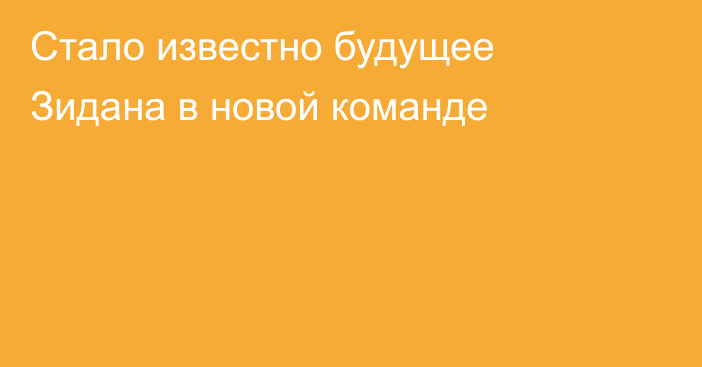 Стало известно будущее Зидана в новой команде