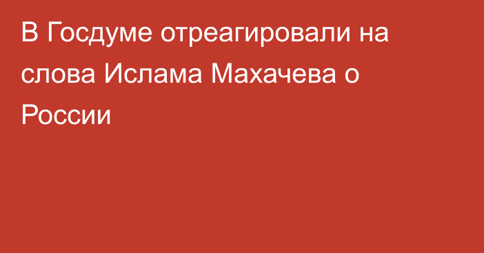 В Госдуме отреагировали на слова Ислама Махачева о России