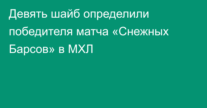 Девять шайб определили победителя матча «Снежных Барсов» в МХЛ