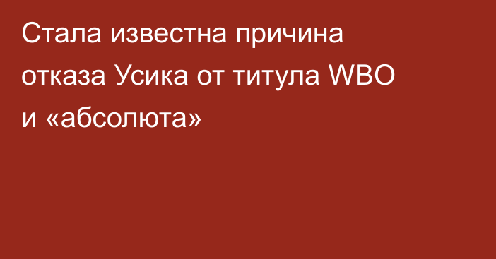 Стала известна причина отказа Усика от титула WBO и «абсолюта»