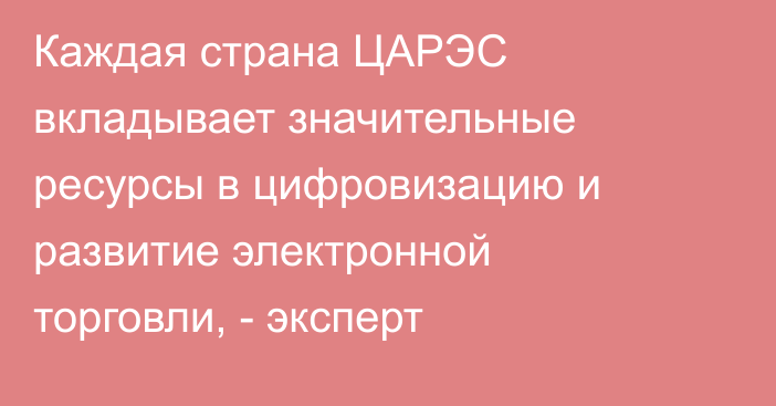 Каждая страна ЦАРЭС вкладывает значительные ресурсы в цифровизацию и развитие электронной торговли, - эксперт