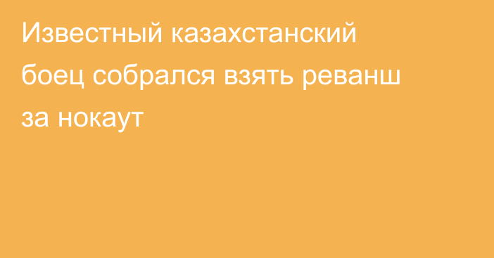 Известный казахстанский боец собрался взять реванш за нокаут