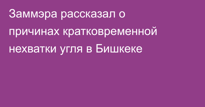 Заммэра рассказал о причинах кратковременной нехватки угля в Бишкеке