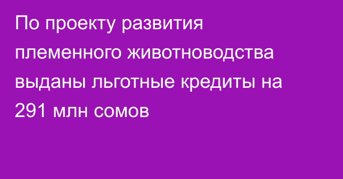 По проекту развития племенного животноводства выданы льготные кредиты на 291 млн сомов