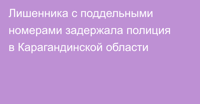 Лишенника с поддельными номерами задержала полиция в Карагандинской области