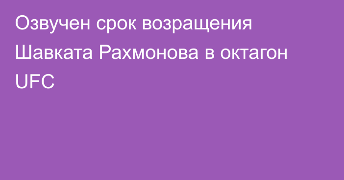 Озвучен срок возращения Шавката Рахмонова в октагон UFC