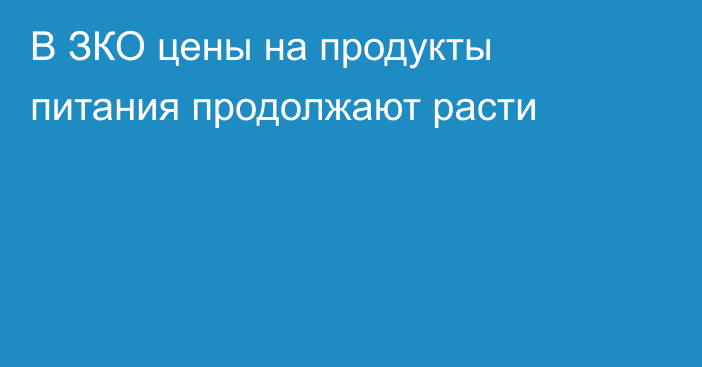 В ЗКО цены на продукты питания продолжают расти