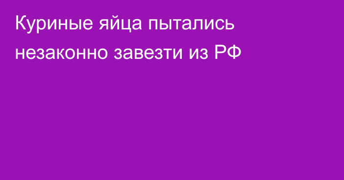Куриные яйца пытались незаконно завезти из РФ