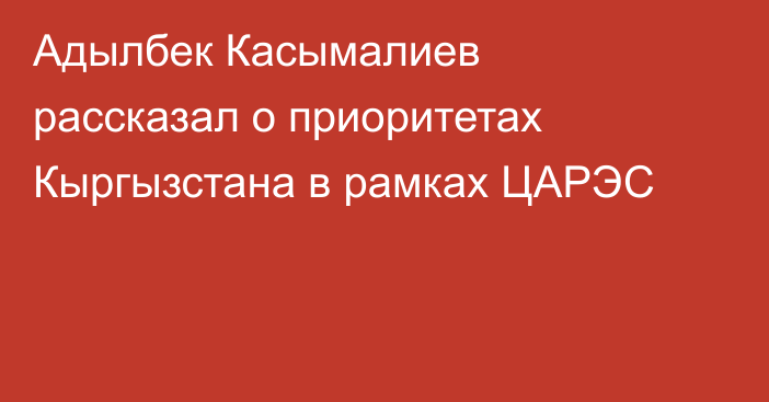 Адылбек Касымалиев рассказал о приоритетах Кыргызстана в рамках ЦАРЭС