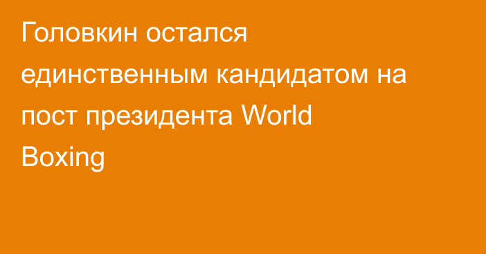 Головкин остался единственным кандидатом на пост президента World Boxing