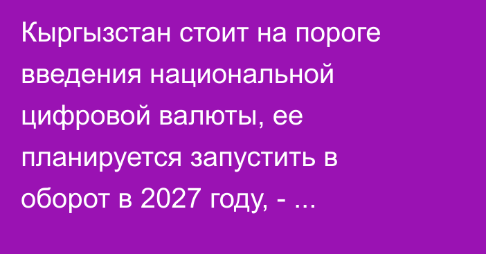 Кыргызстан стоит на пороге введения национальной цифровой валюты, ее планируется запустить в оборот в 2027 году, - экономист